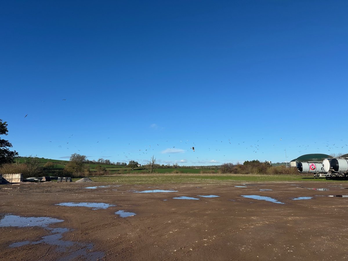Industrial in Evercreech