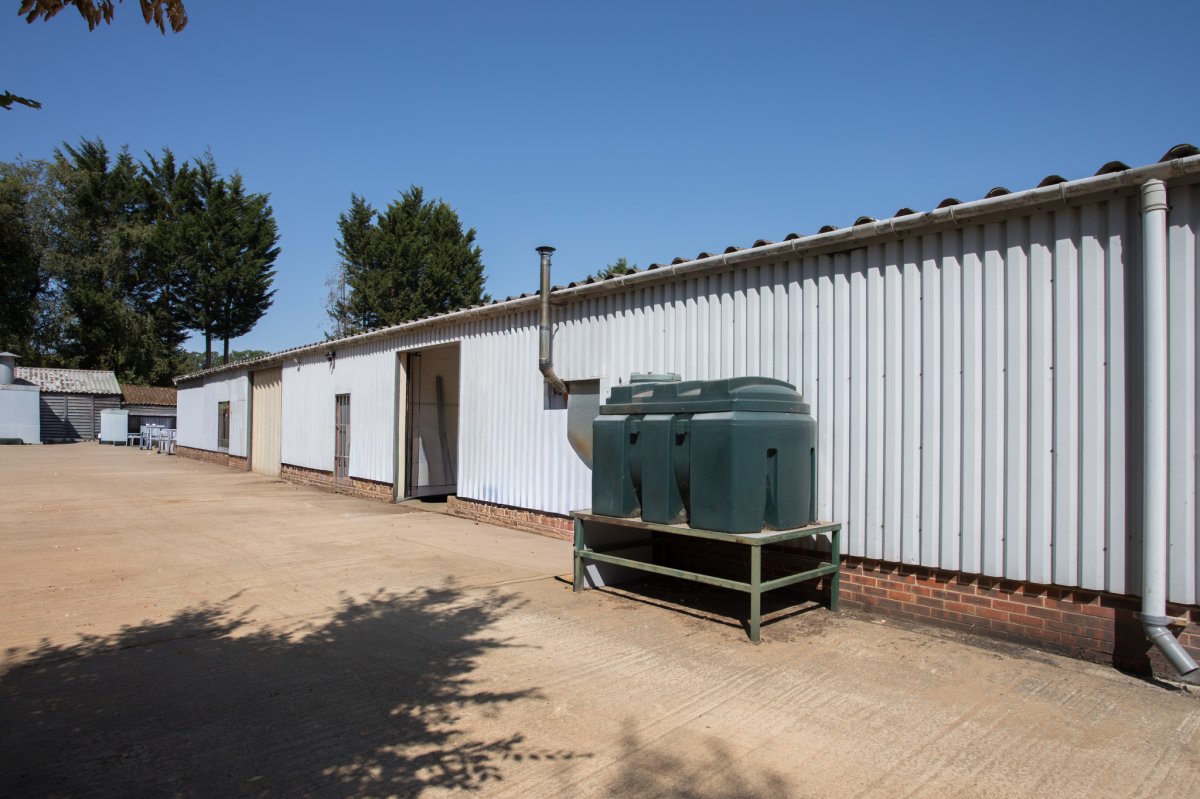 Investment in Ruckinge - photo 3