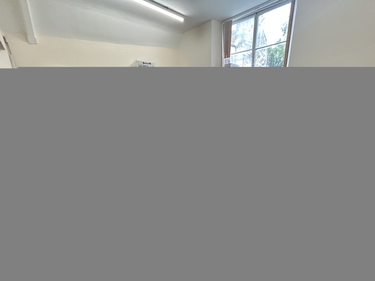 Investment in Bath - photo 4