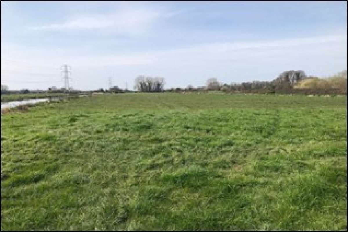 Land in Burtle - photo 2