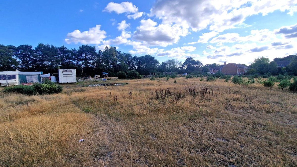 Land in Ferndown - photo 3