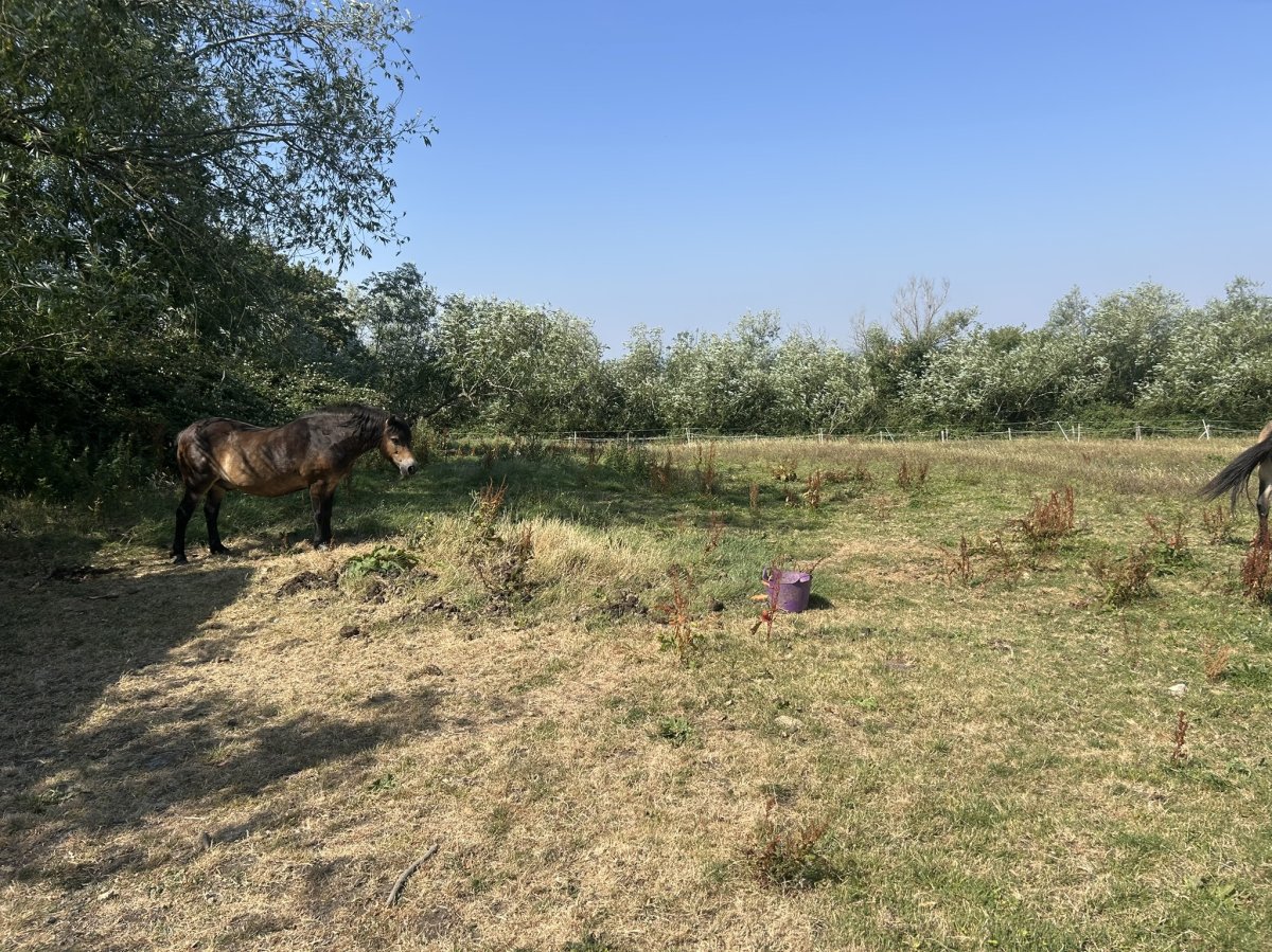 Land in Cheltenham - photo 3