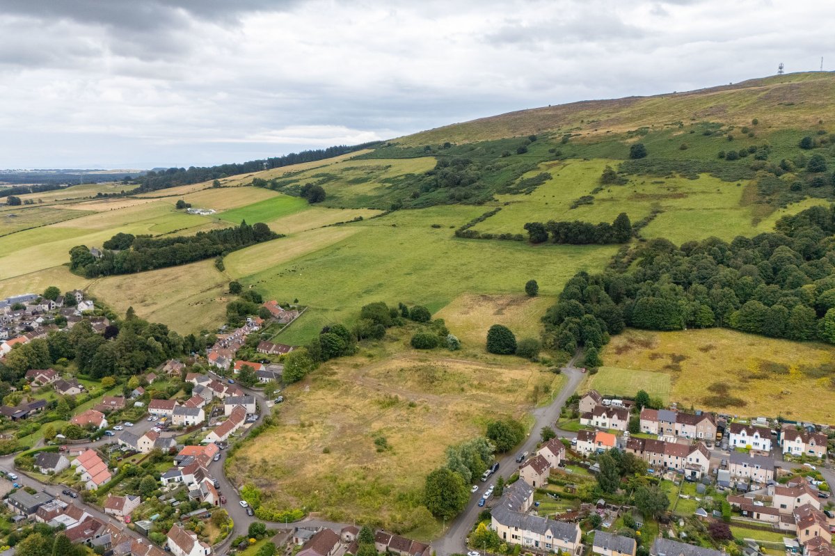 Land in Falkland - photo 4