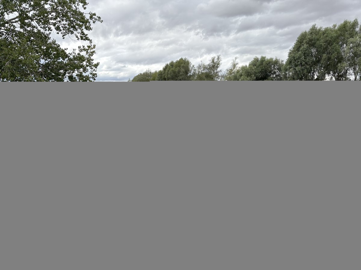 Land in Apperley - photo 4