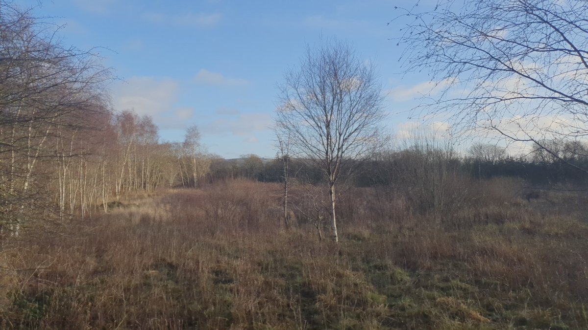 Land in Bathgate