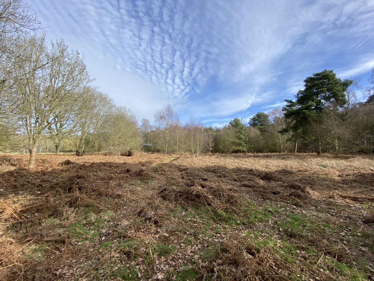 Land in Stratton Strawless