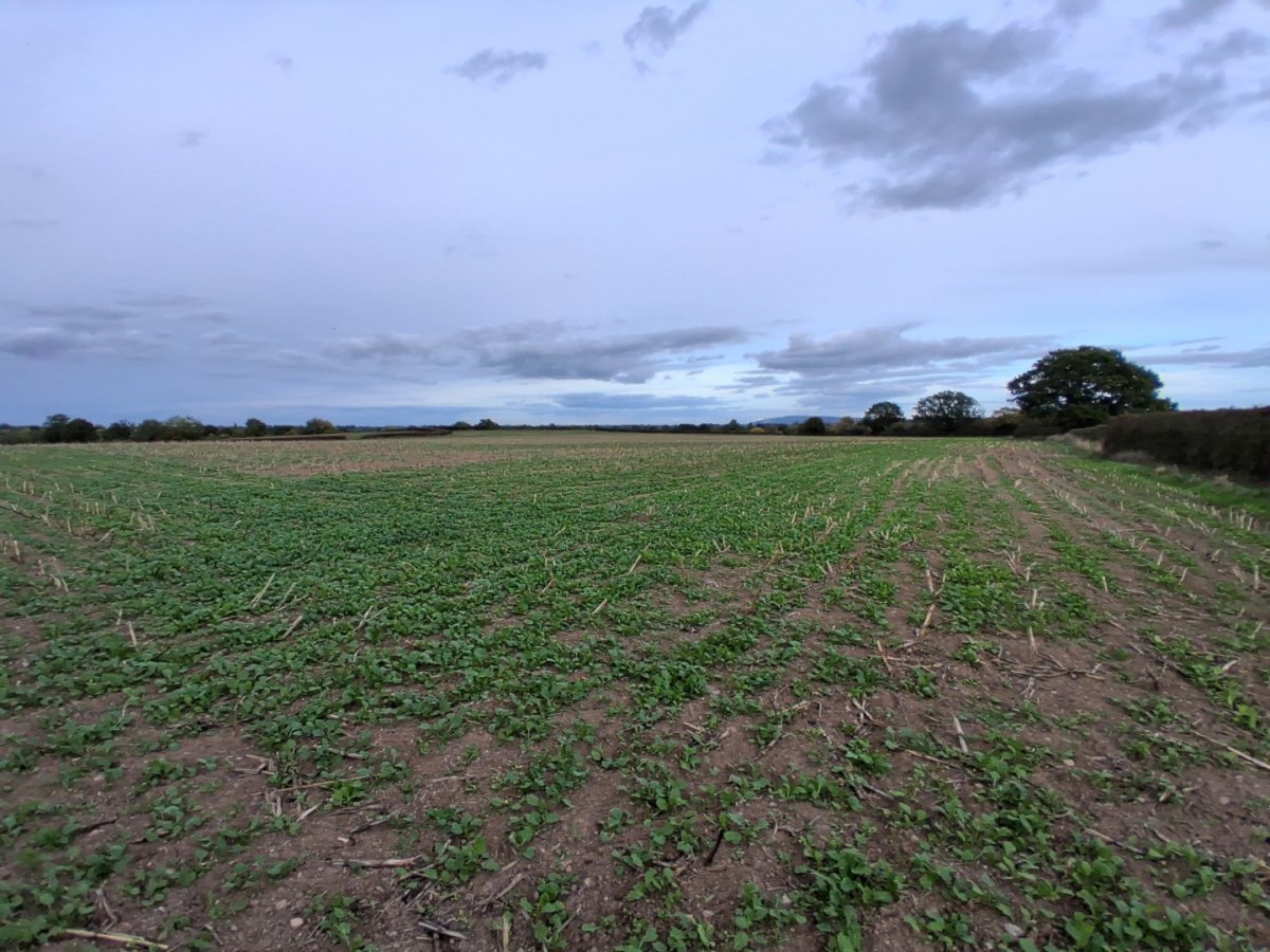 Land in Castlemorton - photo 2