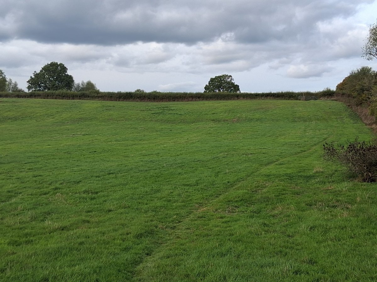Land in Castlemorton - photo 3