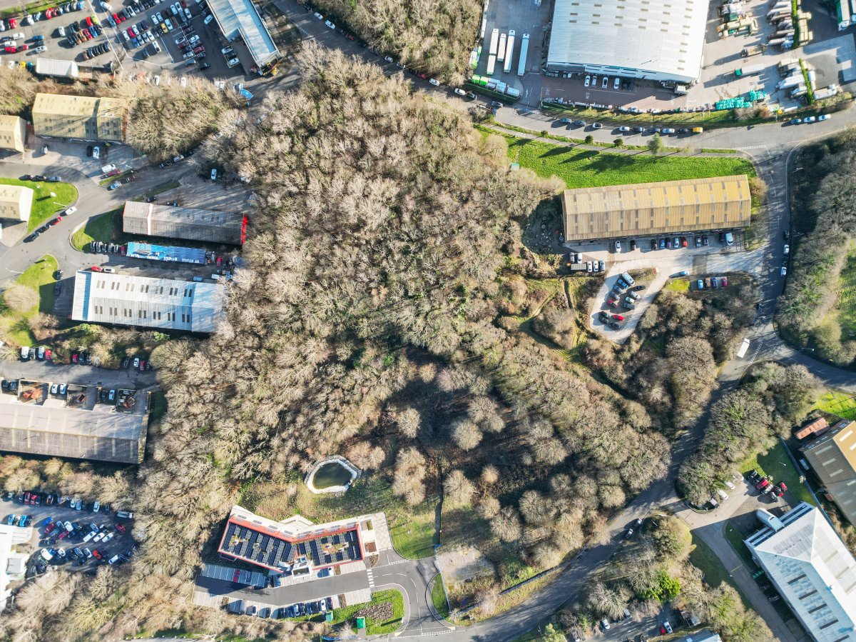 Land in St Leonards - photo 2