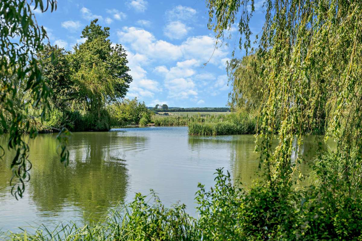 Other in Diss - photo 3