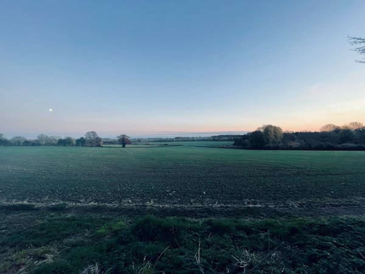 Retail/Shop in Bedford - photo 4