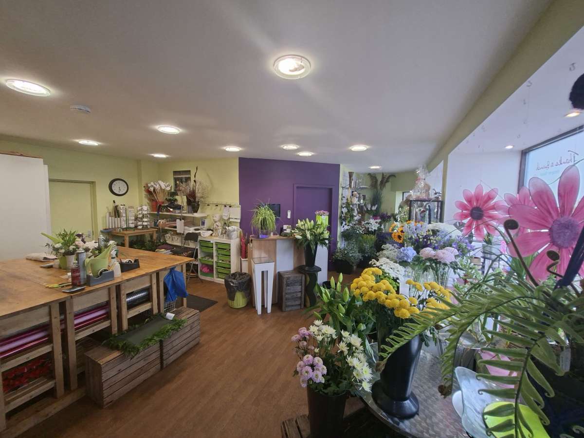 Retail/Shop in Clackmannan - photo 2