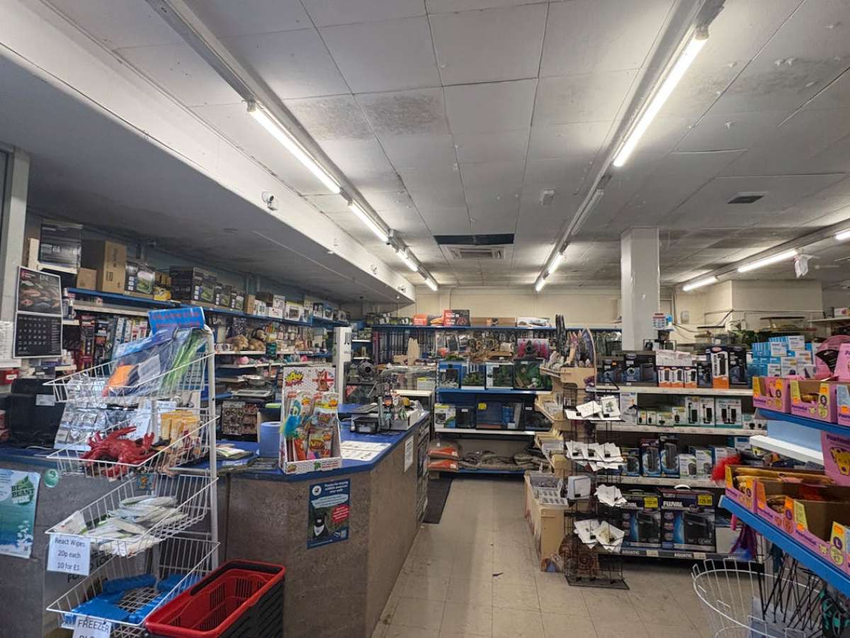 Retail/Shop in Southampton - photo 2