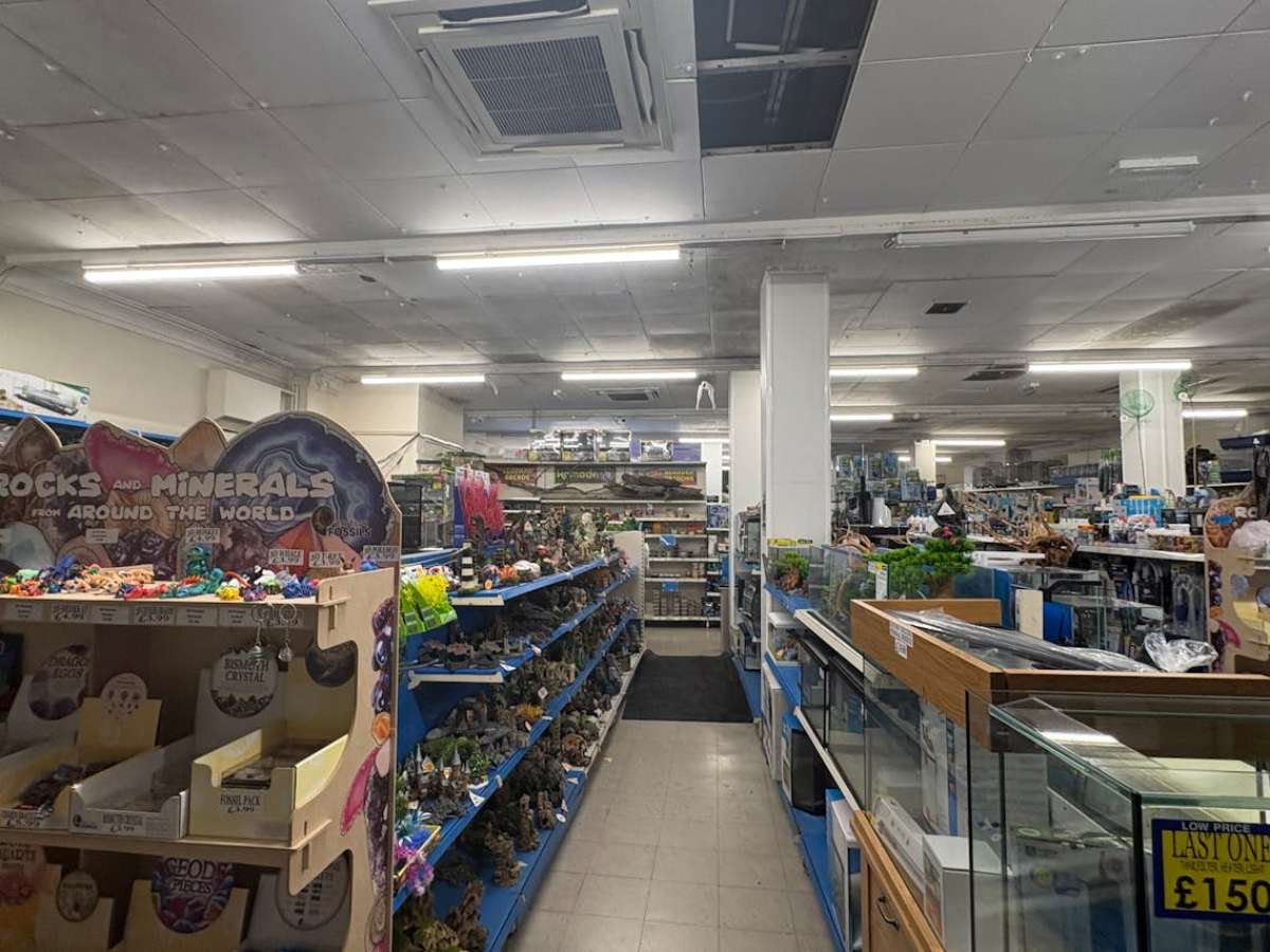 Retail/Shop in Southampton - photo 3