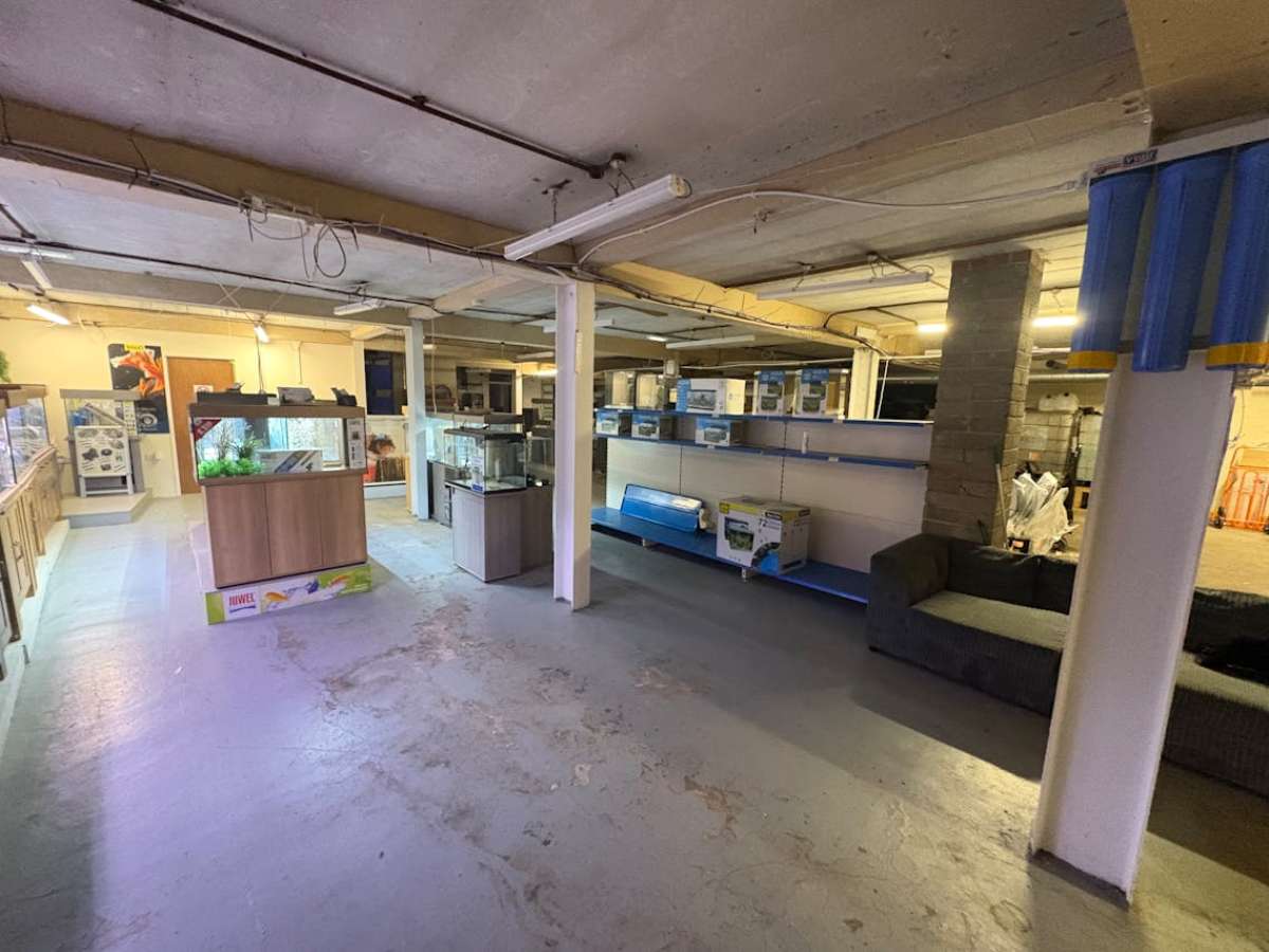 Retail/Shop in Southampton - photo 4