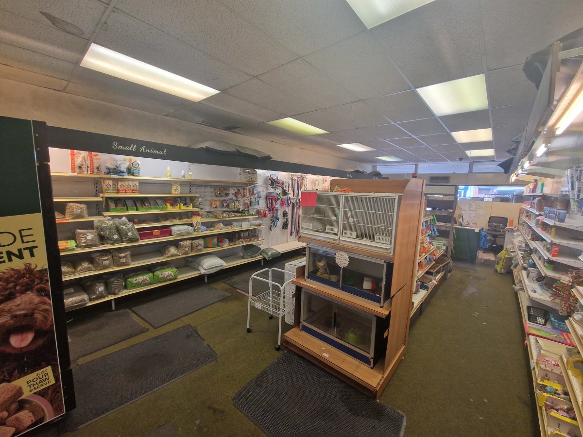 Retail/Shop in Arnold - photo 4