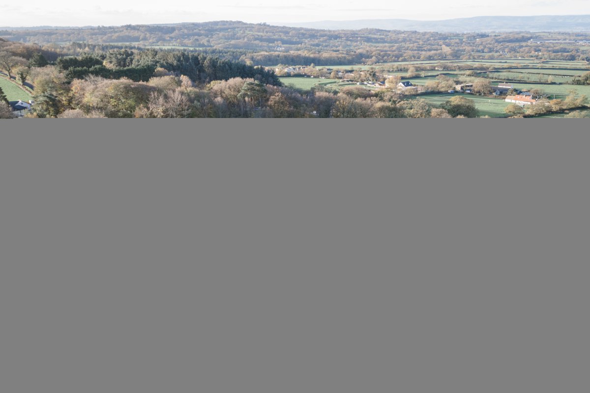 Retail/Shop in Aylesbeare - photo 2