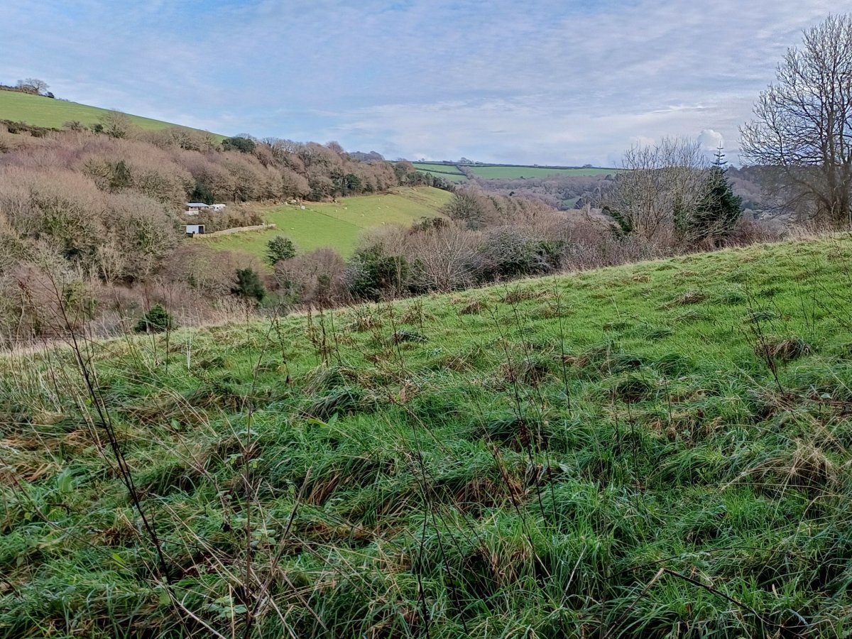 Retail/Shop in St Austell - photo 2