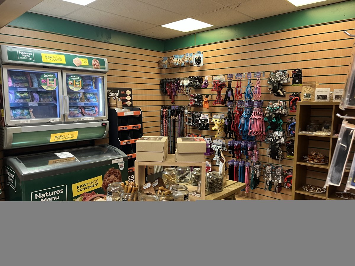 Retail/Shop in Exeter - photo 3