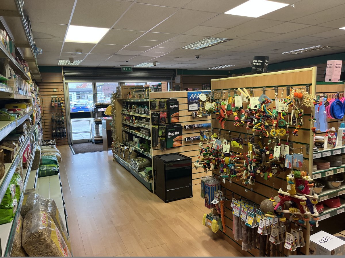 Retail/Shop in Exeter - photo 4