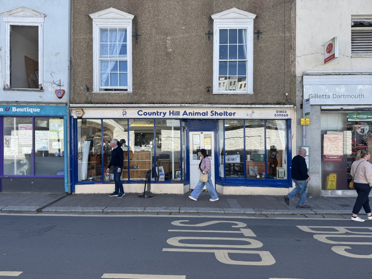 Retail/Shop in Dartmouth - photo 2